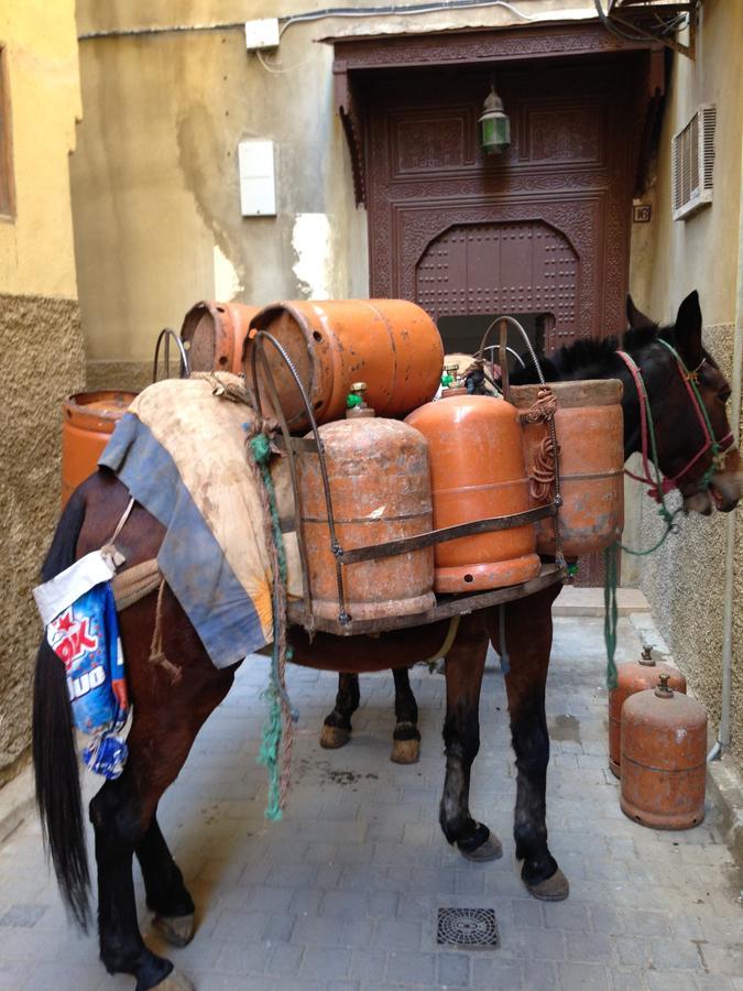 Riad Blanc De Fez Bagian luar foto