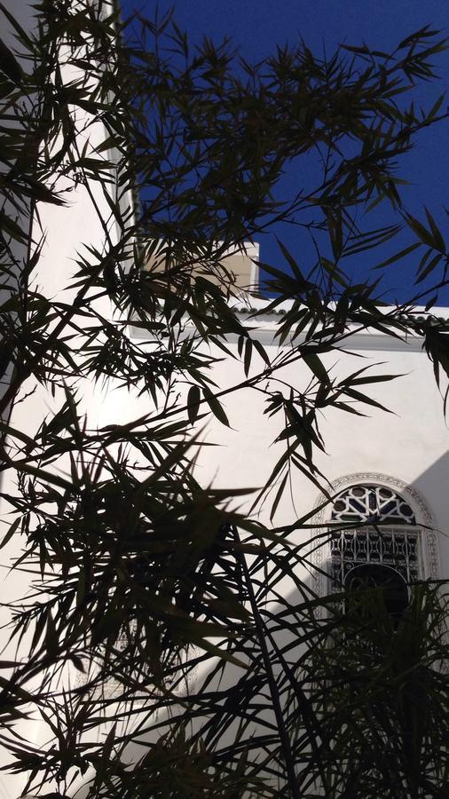 Riad Blanc De Fez Bagian luar foto