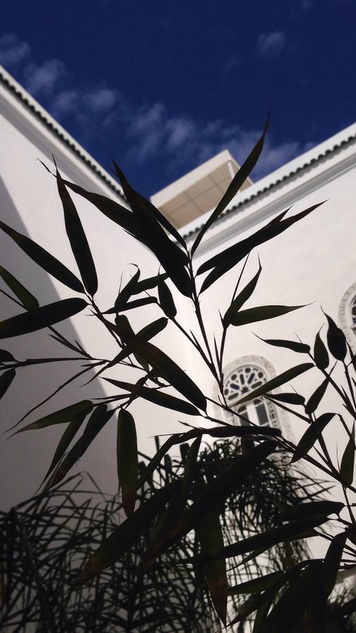 Riad Blanc De Fez Bagian luar foto