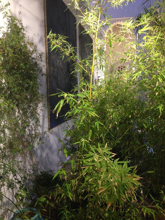 Riad Blanc De Fez Bagian luar foto